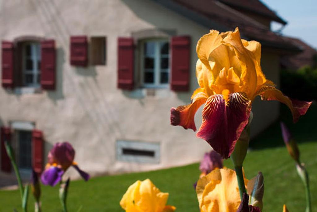 La Belle Saison Bed & Breakfast Mollens  ภายนอก รูปภาพ