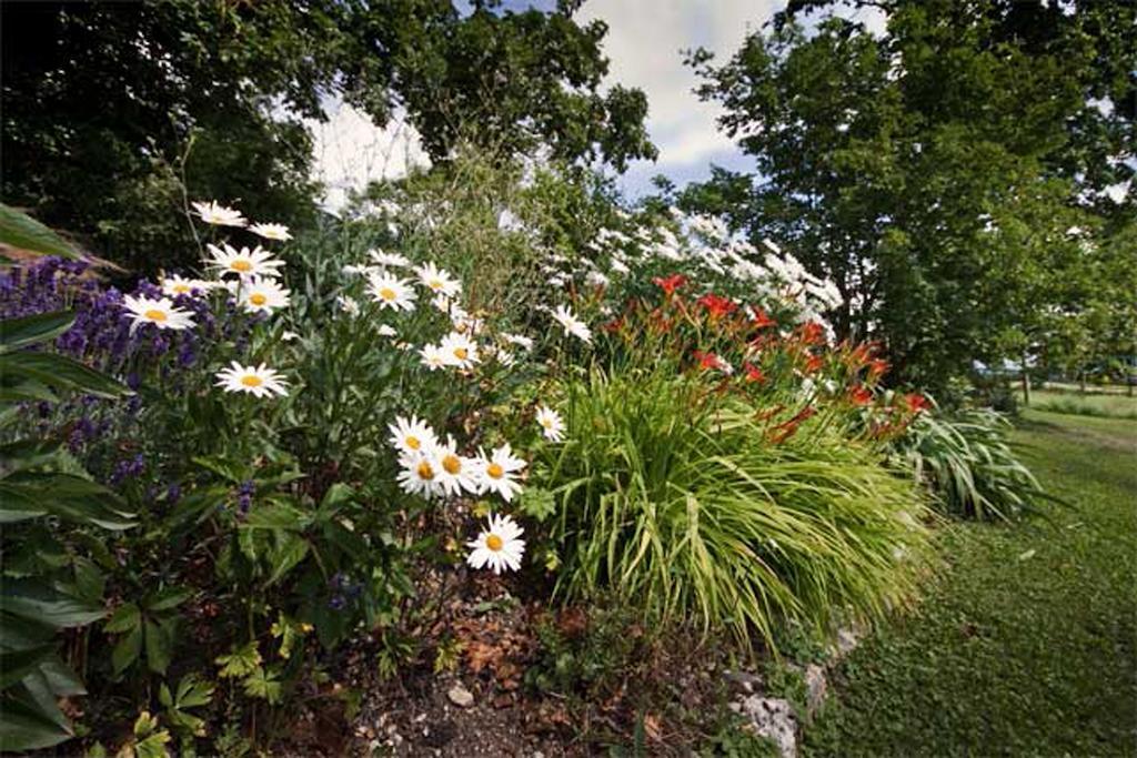 La Belle Saison Bed & Breakfast Mollens  ภายนอก รูปภาพ